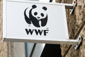 d9d876259db6ef407417476b95ef64eb