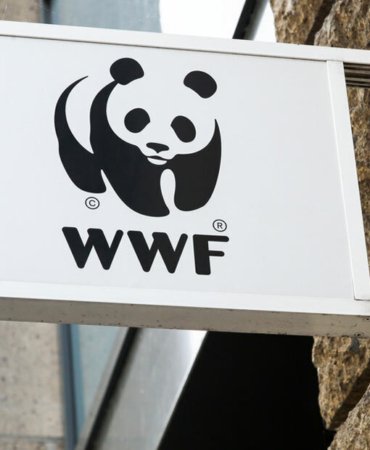 d9d876259db6ef407417476b95ef64eb